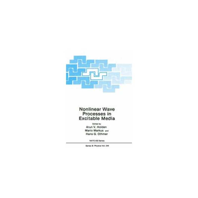 Nonlinear Wave Processes in Excitable Media - 9780306438004