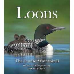 Loons - 9781647552091