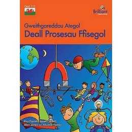 Deall Prosesau Ffisegol - 9781783170289