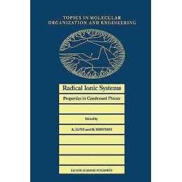 Radical Ionic Systems - 9789401056687