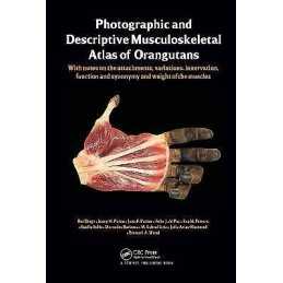 Photographic and Descriptive Musculoskeletal Atlas of Orangutans - 9781466597273