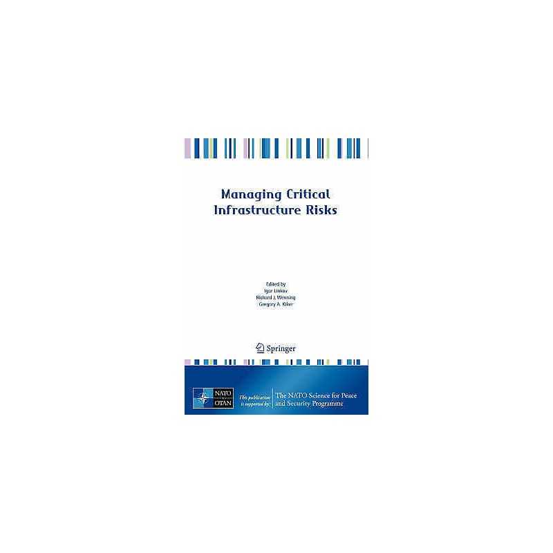 Managing Critical Infrastructure Risks - 9781402063848