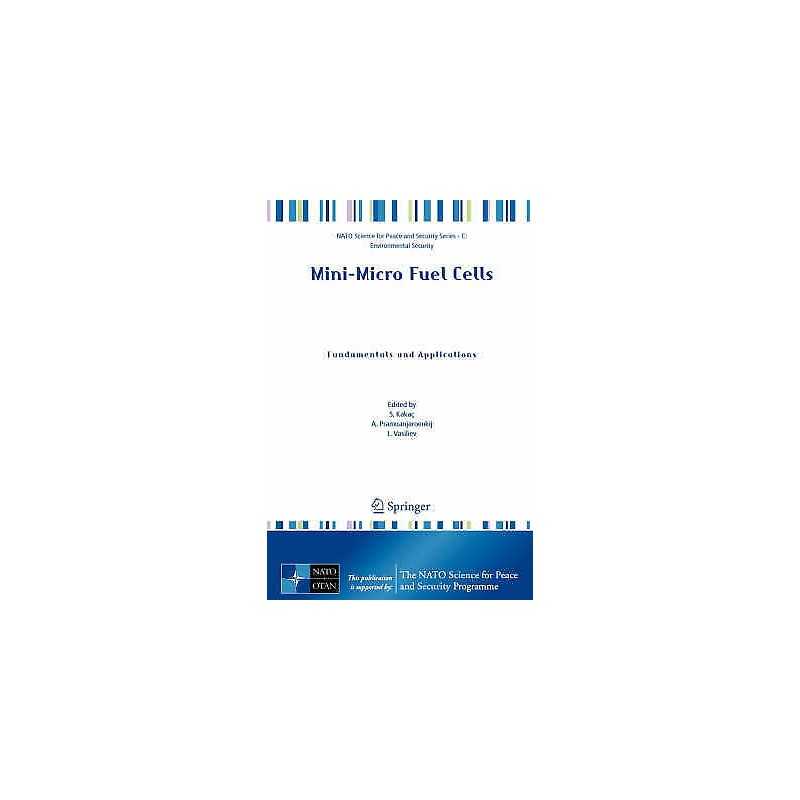 Mini-Micro Fuel Cells - 9781402082931