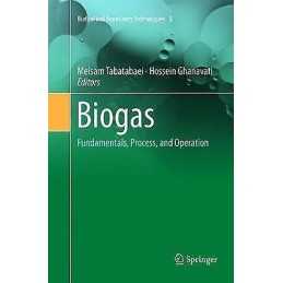 Biogas - 9783030084318