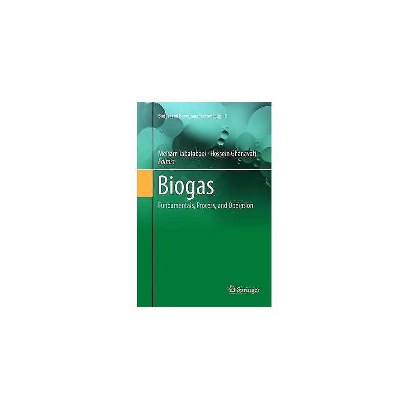 Biogas - 9783030084318