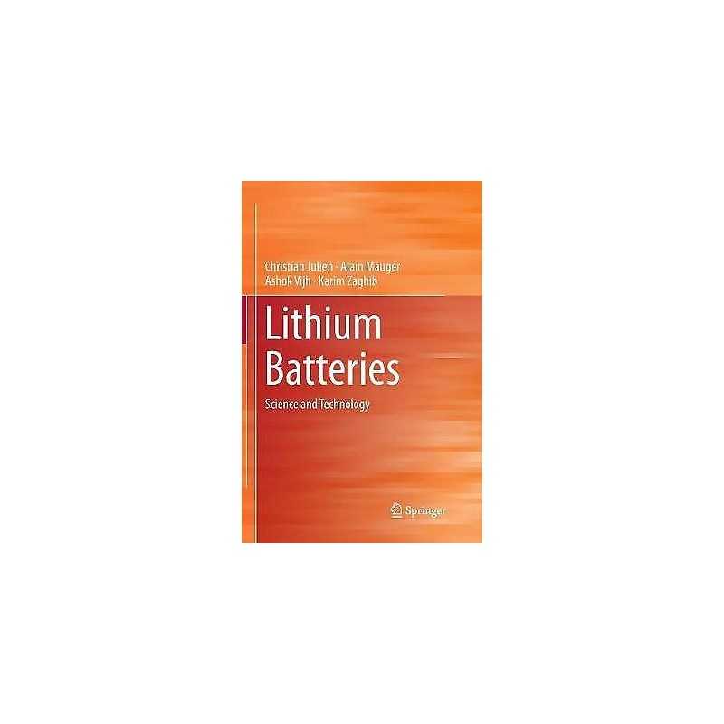 Lithium Batteries - 9783319349299