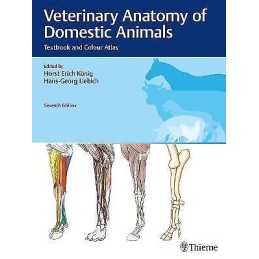 Veterinary Anatomy of Domestic Animals - 9783132429338