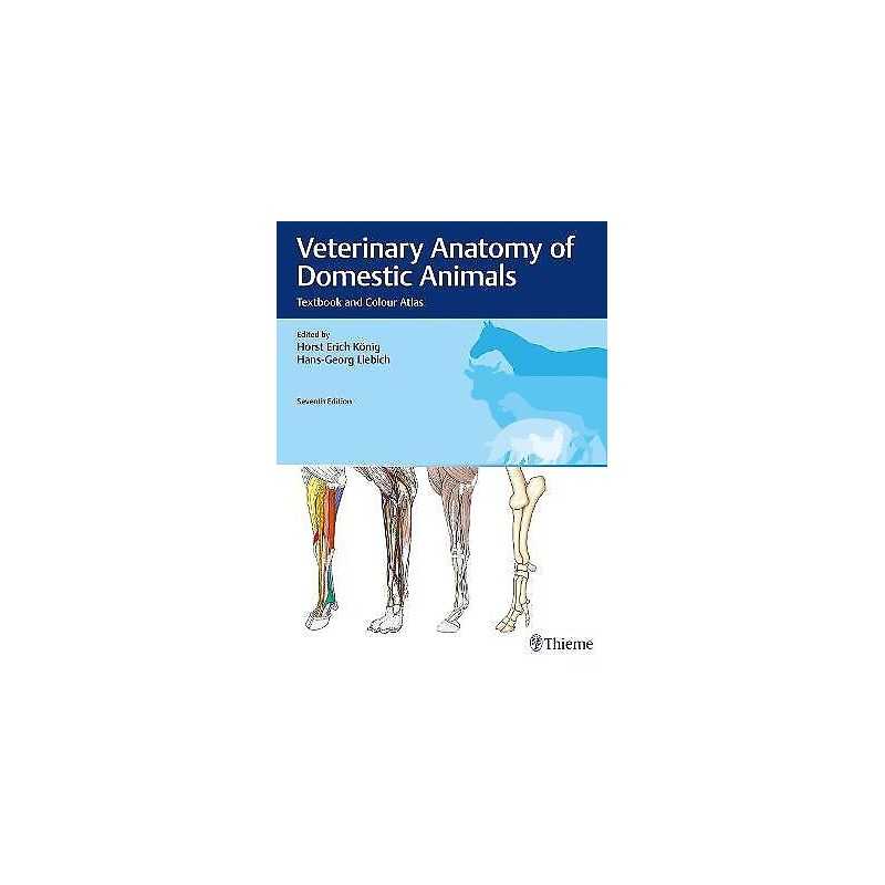 Veterinary Anatomy of Domestic Animals - 9783132429338