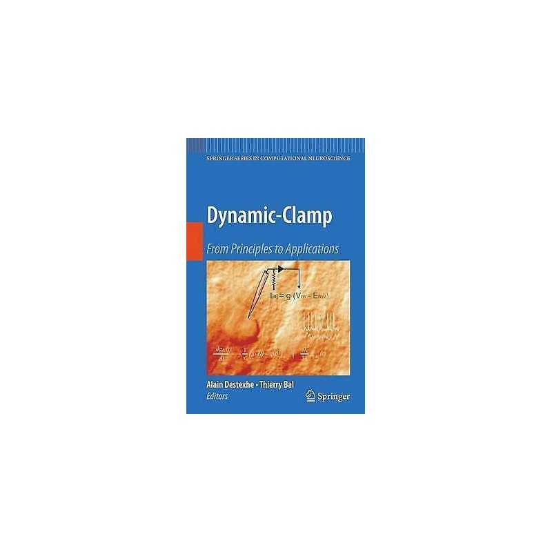 Dynamic-Clamp - 9781441927903