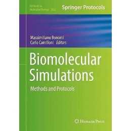 Biomolecular Simulations - 9781493996070