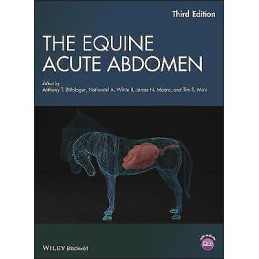 The Equine Acute Abdomen - 9781119063216