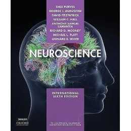 Neuroscience - 9781605358413