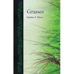 Grasses - 9781780232737