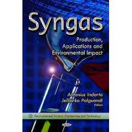 Syngas - 9781621008705