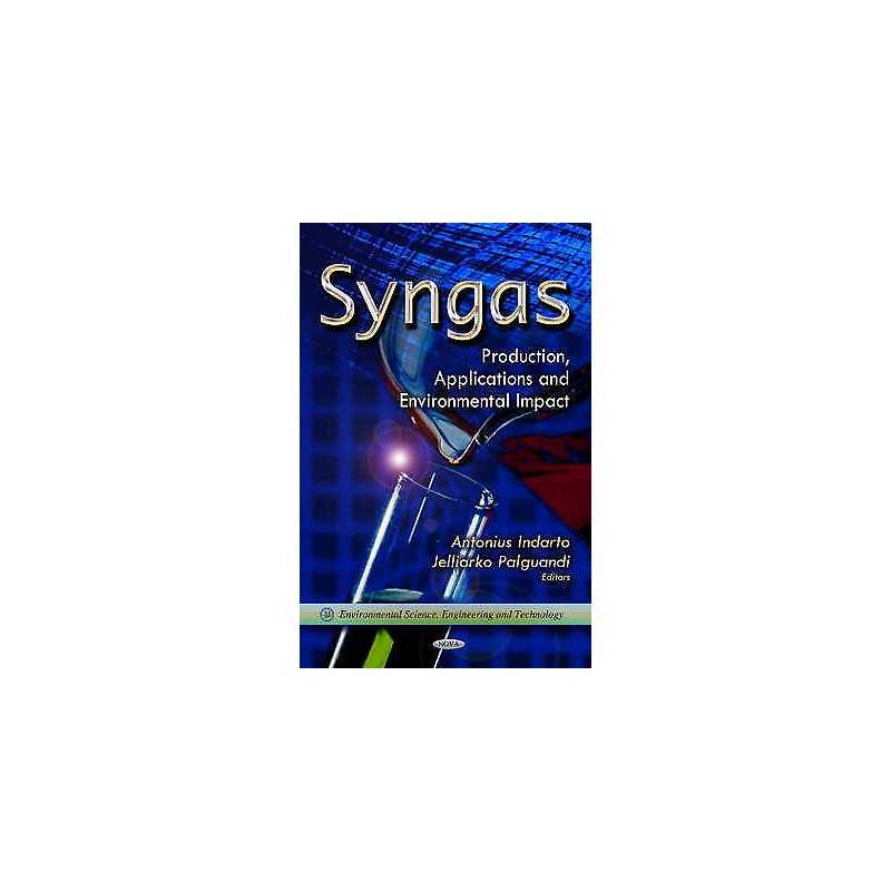 Syngas - 9781621008705