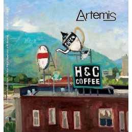 International Perspectives on Traumatic Stress - 9781634849296