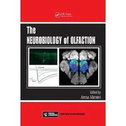 The Neurobiology of Olfaction - 9781420071979