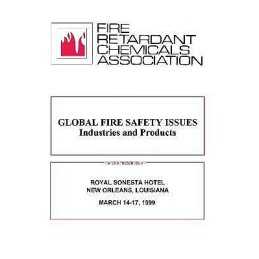 Global Fire Safety Issues - 9781566767989