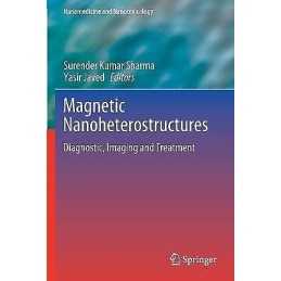 Magnetic Nanoheterostructures - 9783030399252