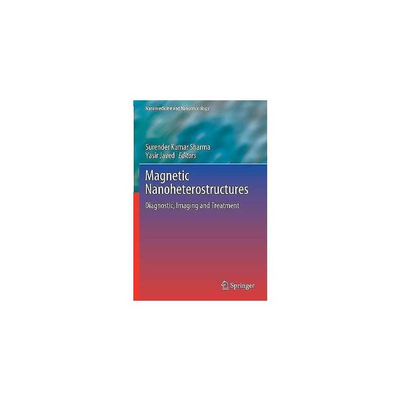 Magnetic Nanoheterostructures - 9783030399252