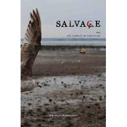 Salvage #10 - 9781839767746