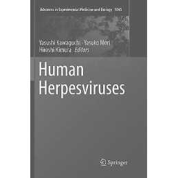 Human Herpesviruses - 9789811339271