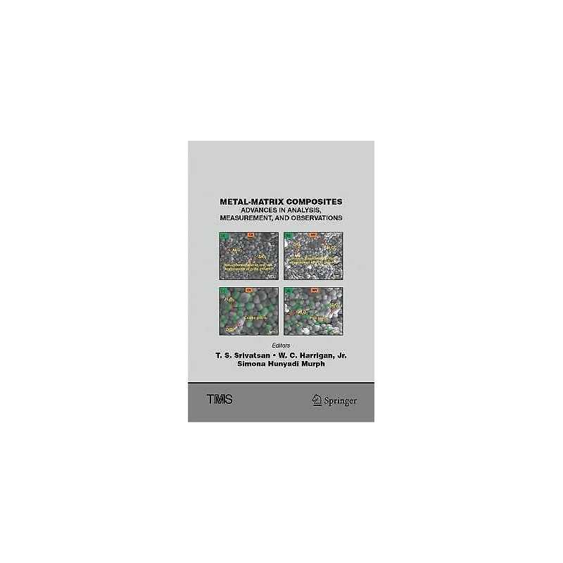 Metal-Matrix Composites - 9783030652487