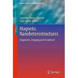 Magnetic Nanoheterostructures - 9783030399221