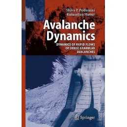 Avalanche Dynamics - 9783642069192