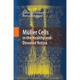Muller Cells in the Healthy and Diseased Retina - 9781489985026