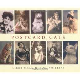 card Cats by Phillips, Tom Hardback Book