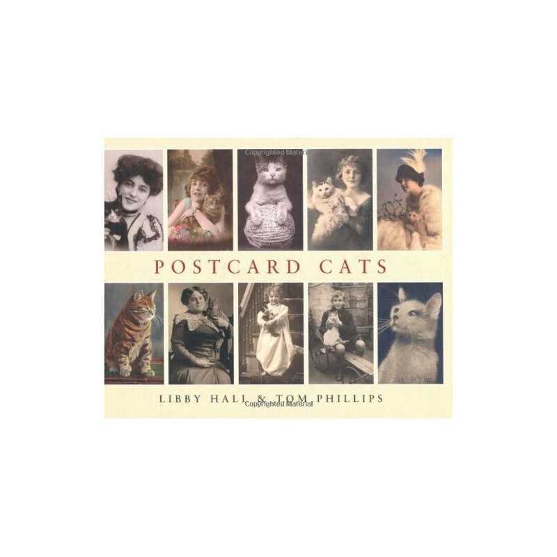card Cats by Phillips, Tom Hardback Book