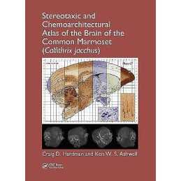 Stereotaxic and Chemoarchitectural Atlas of the Brain of the ... - 9781439837788