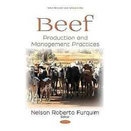 Beef - 9781536132540