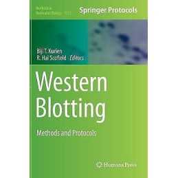 Western Blotting - 9781493926930