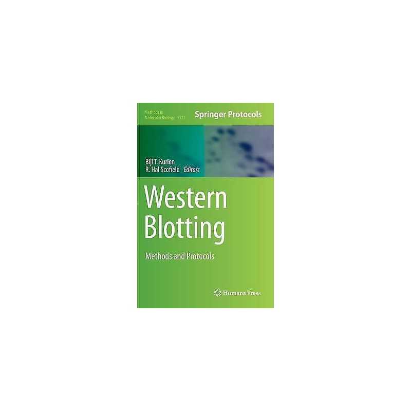 Western Blotting - 9781493926930