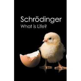 What is Life? - 9781107604667