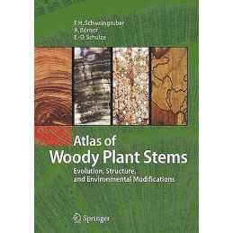 Atlas of Woody Plant Stems - 9783540325239