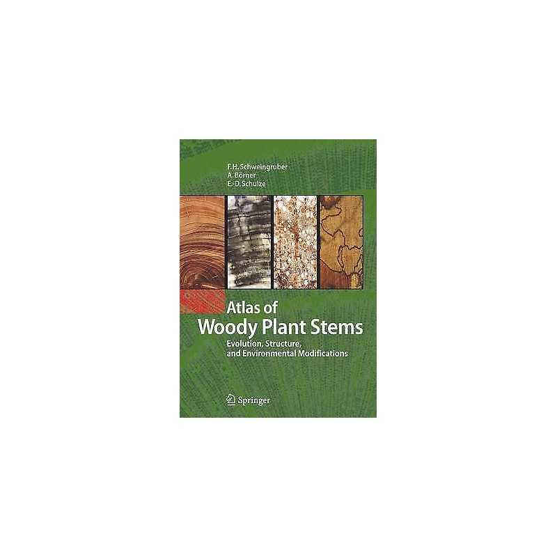 Atlas of Woody Plant Stems - 9783540325239