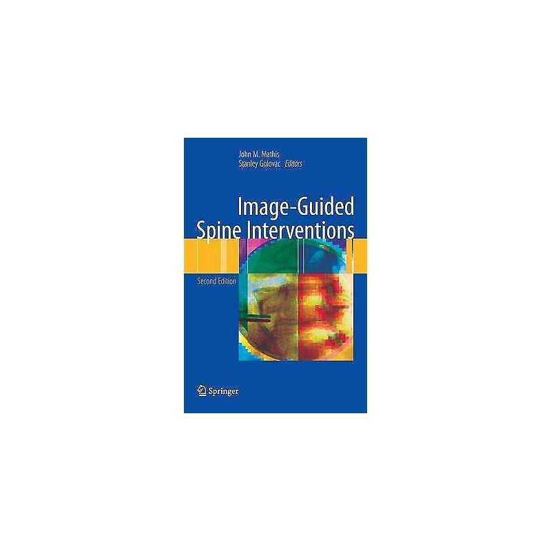 Image-Guided Spine Interventions - 9781441903518