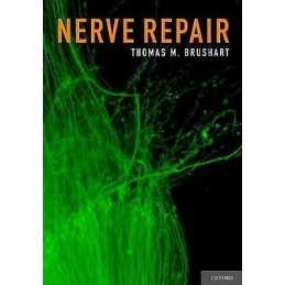 Nerve Repair - 9780195169904