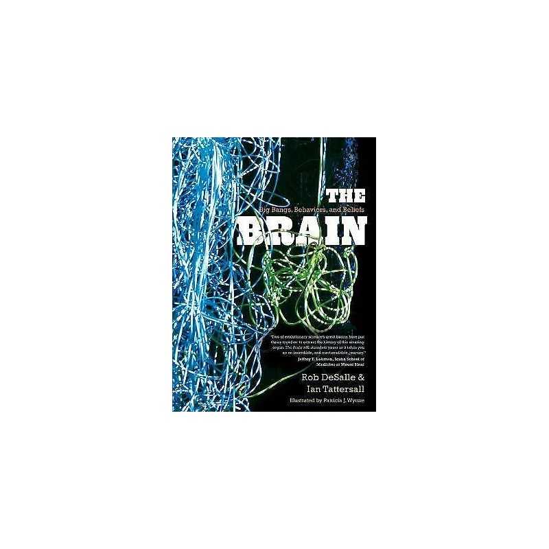The Brain - 9780300205725