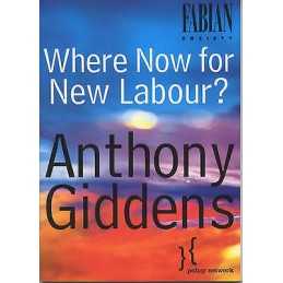 Where Now for New Labour? - 9780745629919
