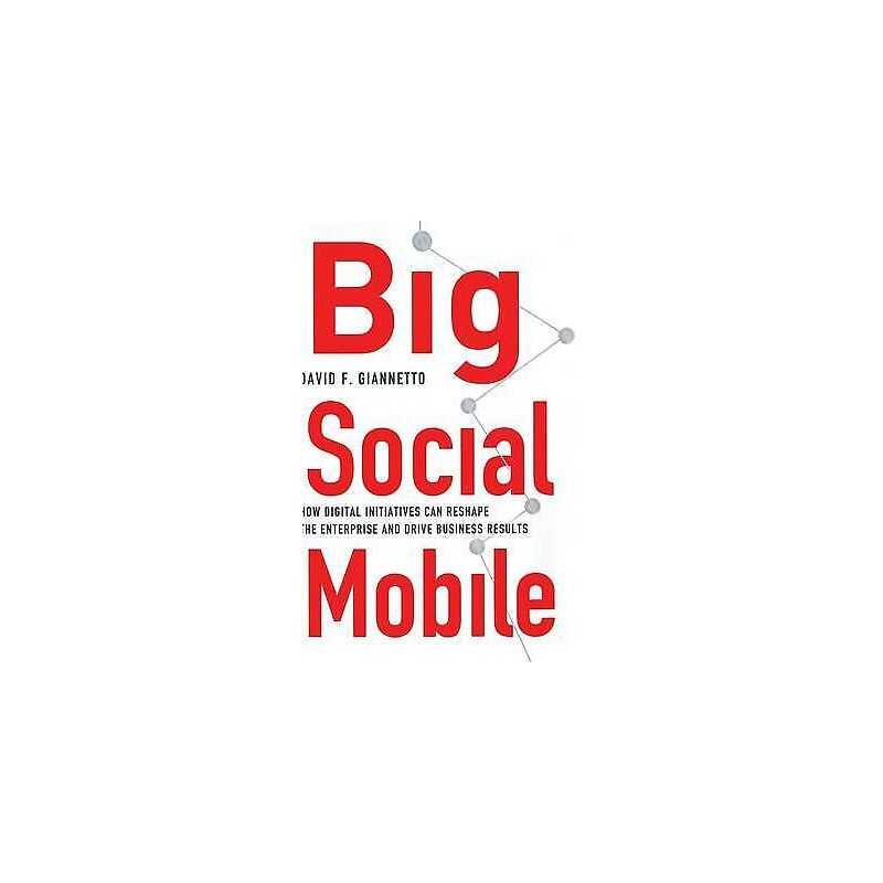 Big Social Mobile - 9781137410399