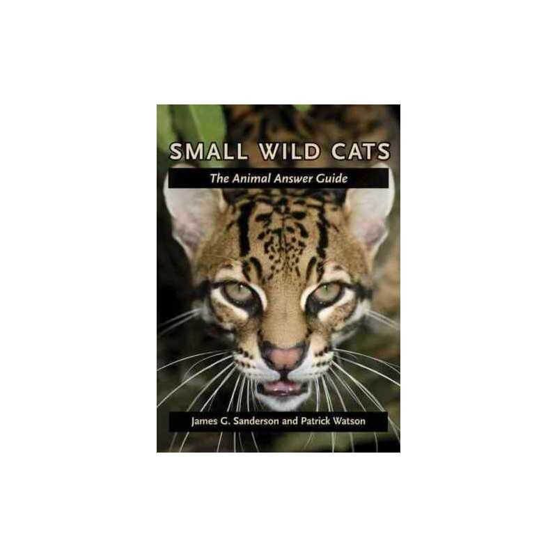 Small Wild Cats - 9780801898853
