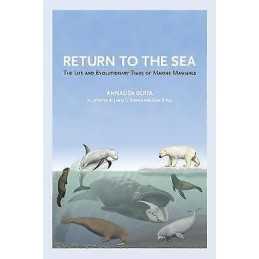 Return to the Sea - 9780520355521