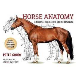 Horse Anatomy - 9780851317694