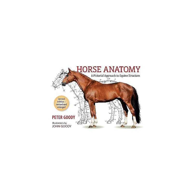 Horse Anatomy - 9780851317694