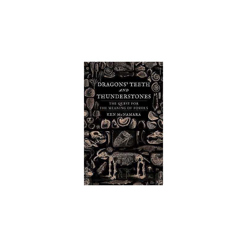 Dragons Teeth and Thunderstones - 9781789142907