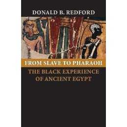 From Slave to Pharaoh - 9780801885440